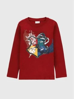 ΧΟΝΔΡΙΚΟ ΕΜΠΟΡΙΟ 🌟 Coccodrillo Μπλουζάκια Μπλουζάκι HARRY POTTER ZC2143112LIB Μπορντό Regular Fit 👏