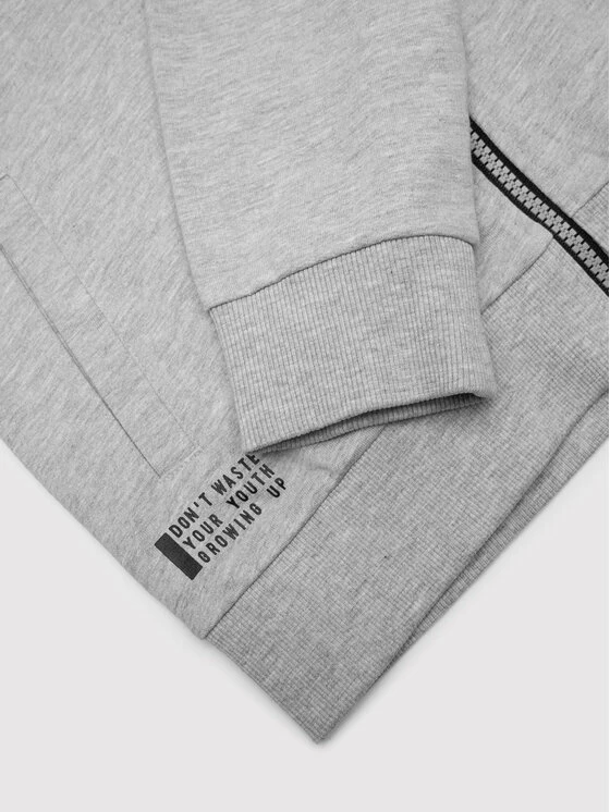 Προώθηση ❤️ Coccodrillo Μπλούζες Με Φερμουάρ Μπλούζα WC2132401EVB Γκρι Regular Fit ✔️ - Image 5