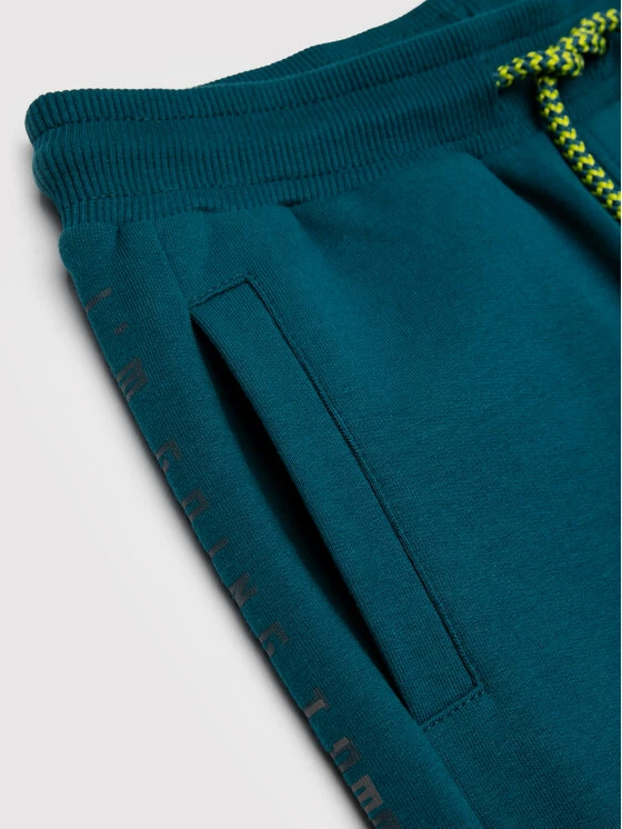 Αγορά 😉 Coccodrillo Παντελόνια Φόρμας Παντελόνι φόρμας ZC1120101REM Πράσινο Regular Fit 😀 - Image 6