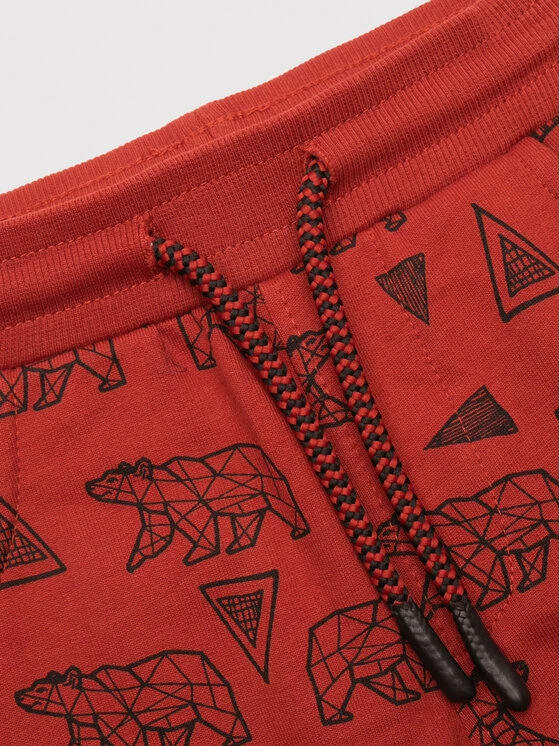 Εκπτωση ✨ Coccodrillo Παντελόνια Φόρμας Παντελόνι φόρμας ZC1120101EXP Καφέ Regular Fit 😉 - Image 4