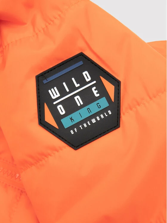 Τοπ 10 💯 Coccodrillo Πουπουλένια Μπουφάν Μπουφάν πουπουλένιο WC2152701KIW Πορτοκαλί Regular Fit ✨ - Image 4