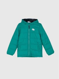 Συμφωνίες 🛒 Coccodrillo Πουπουλένια Μπουφάν Μπουφάν πουπουλένιο ZC1152701ALW Πράσινο Regular Fit 🌟