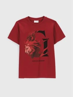 Νέος ⭐ Coccodrillo T-shirts T-Shirt HARRY POTTER ZC2143207LIB Μπορντό Regular Fit 😍