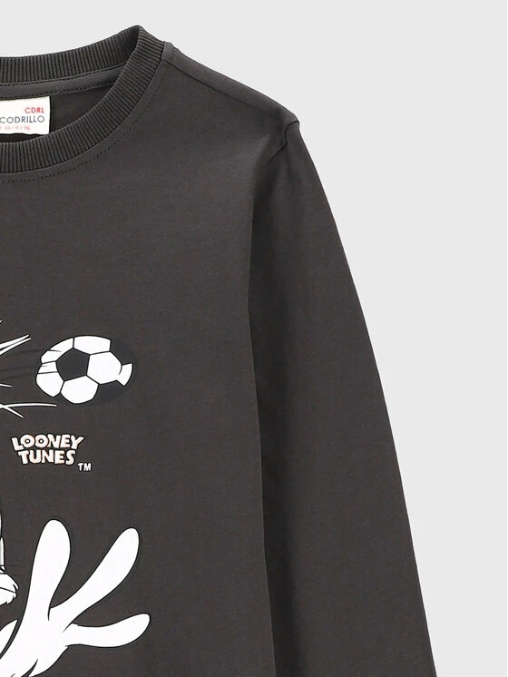 Προώθηση 🎁 Coccodrillo Μπλουζάκια Μπλουζάκι LOONEY TUNES ZC2143104LIB Γκρι Regular Fit 😉 - Image 2