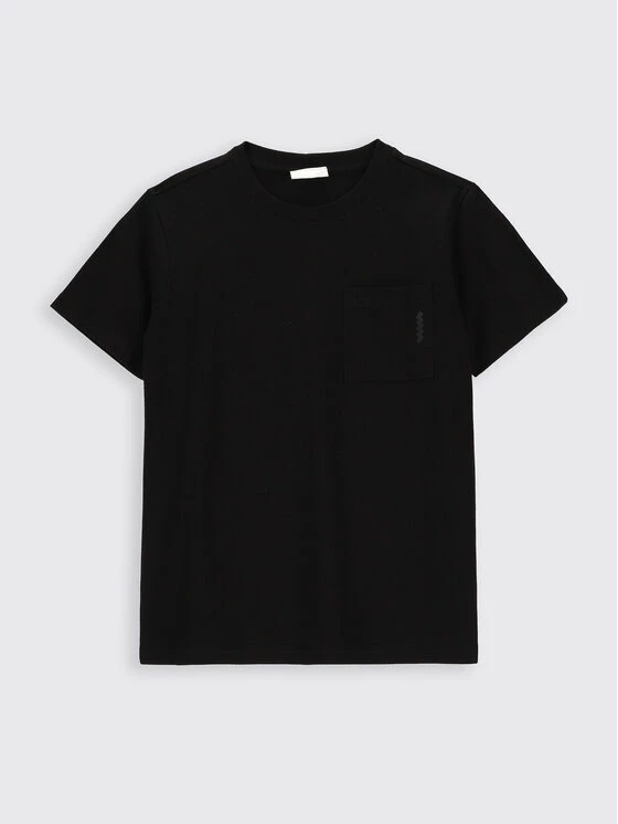 Ολοκαίνουργιο ⭐ Coccodrillo T-shirts T-Shirt ZC2143201BAB Μαύρο Regular Fit 💯